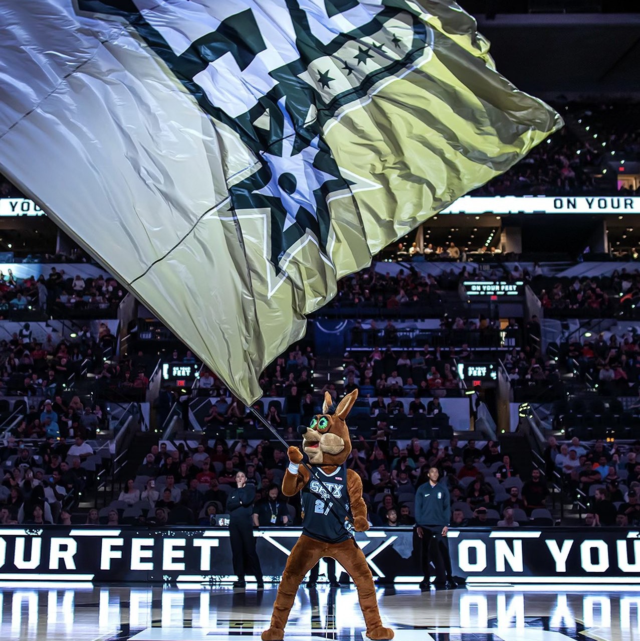 队能够屹立 队能够屹立